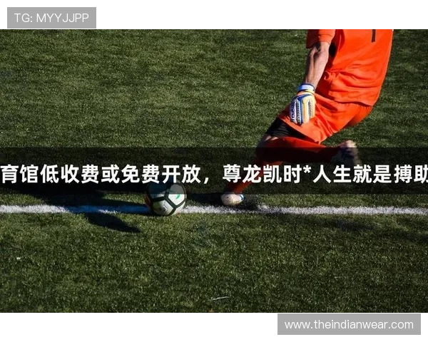 尊龙体育游戏：多样化的体育游戏选择满足不同玩家的娱乐需求，开启你的运动狂欢